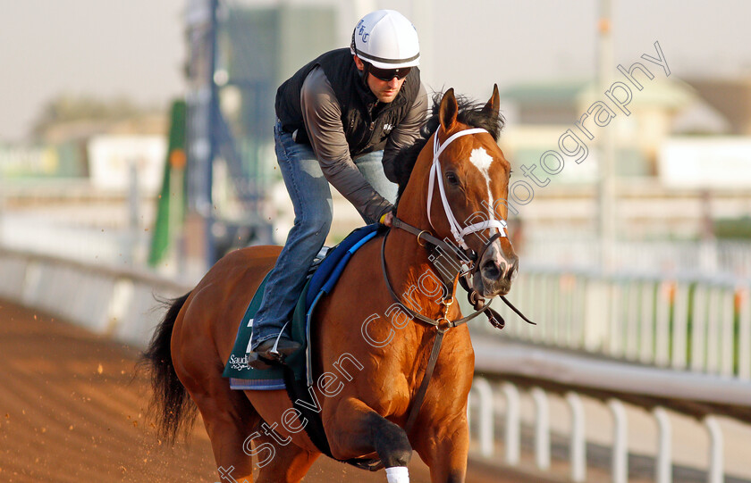 Mandaloun-0005 
 MANDALOUN training for the Saudi Cup
King Abdulaziz Racetrack, Riyadh, Saudi Arabia 24 Feb 2022 - Pic Steven Cargill / Racingfotos.com