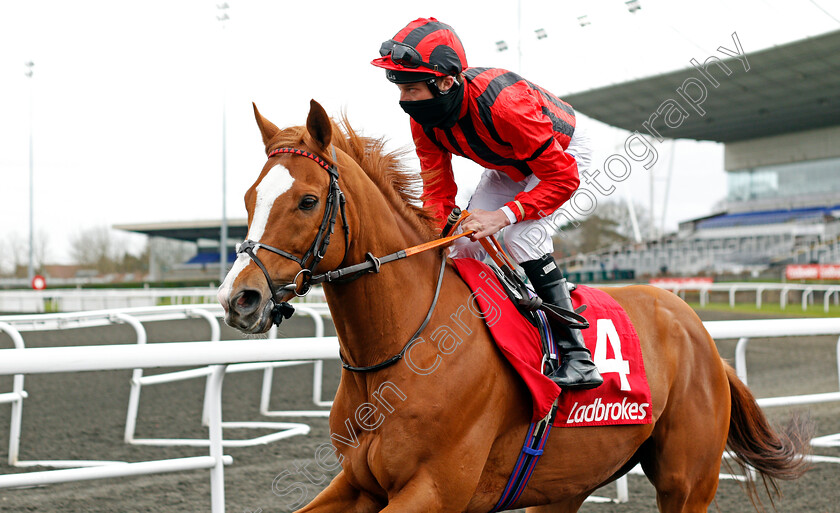 Stormy-Antarctic-0002 
 STORMY ANTARCTIC (Luke Morris)
Kempton 27 Mar 2021 - Pic Steven Cargill / Racingfotos.com