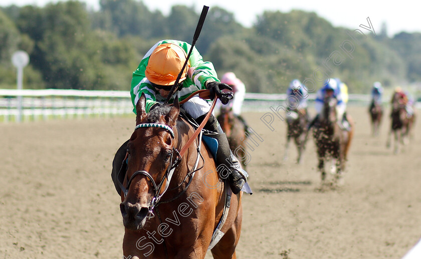 Distant-Chimes-0005 
 DISTANT CHIMES (Luke Morris) wins The Fleetweather Ocean Routing Services Handicap
Sandown 24 Jul 2019 - Pic Steven Cargill / Racingfotos.com