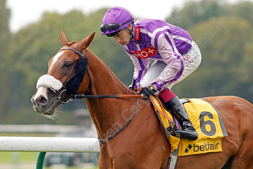 The-Goat-0001 
 THE GOAT (Oisin Murphy)
Haydock 7 Sep 2024 - Pic Steven Cargill / Racingfotos.com