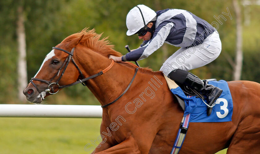 Dante s-View-0003 
 DANTE'S VIEW (Ryan Moore)
Leicester 10 Sep 2019 - Pic Steven Cargill / Racingfotos.com