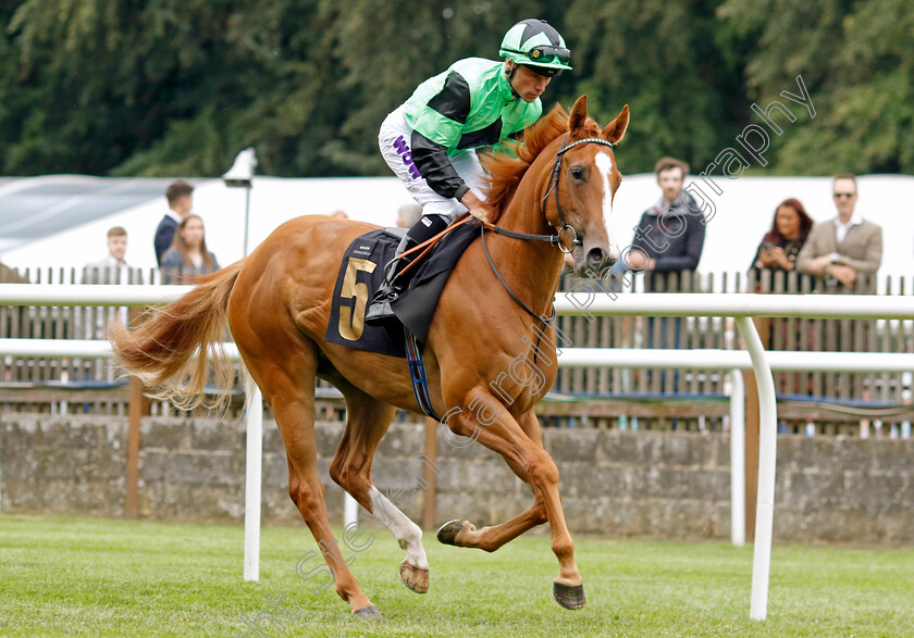 Looby-0001 
 LOOBY (Kieran Shoemark)
Newmarket 30 Jun 2023 - Pic Steven Cargill / Racingfotos.com