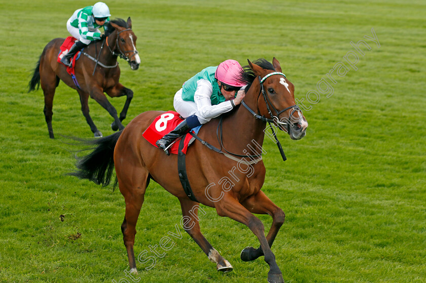 Siyola-0002 
 SIYOLA (William Buick) wins The bet365 Wild Card Fillies Novice Stakes
Sandown 26 Apr 2024 - Pic Steven Cargill / Racingfotos.com