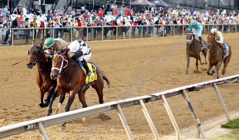 Mylady-Curlin-0001 
 MYLADY CURLIN (right, Luis Saez) beats GOLDEN AWARD (left) in The Allaire Dupont Distaff Stakes
Pimlico, Baltimore USA, 17 May 2019 - Pic Steven Cargill / Racingfotos.com