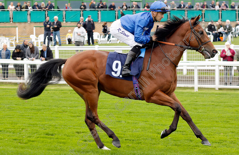 Warsong-0001 
 WARSONG (Kevin Stott)
Yarmouth 19 Sep 2023 - Pic Steven Cargill / Racingfotos.com