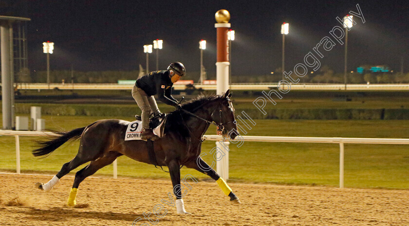 Crown-Pride-0001 
 CROWN PRIDE training for the Dubai World Cup
Meydan, Dubai, 21 Mar 2023 - Pic Steven Cargill / Racingfotos.com