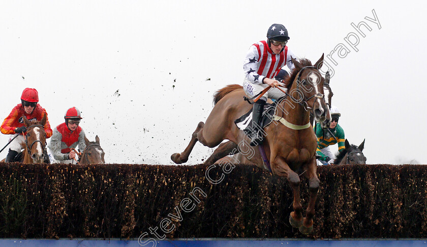 Flaming-Charmer-0001 
 FLAMING CHARMER (Mr J L Thomas) Ascot 20 Jan 2018 - Pic Steven Cargill / Racingfotos.com