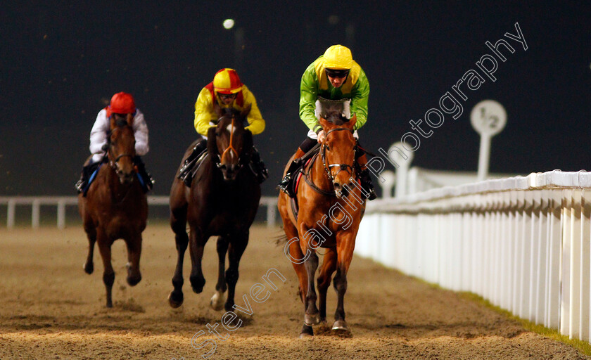 Swissal-0006 
 SWISSAL (Dougie Costello) wins The Bet toteexacta At betfred.com Nursery Chelmsford 1 Feb 2017 - Pic Steven Cargill / Racingfotos.com