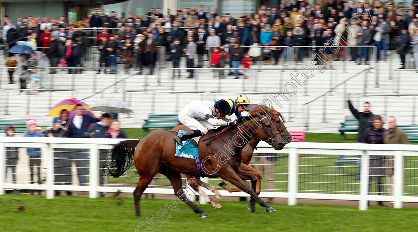 Projection-0002 
 PROJECTION (Kieran Shoemark) wins The John Guest Racing Bengough Stakes
Ascot 6 Oct 2018 - Pic Steven Cargill / Racingfotos.com