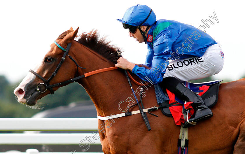 Elysees-0005 
 ELYSEES (Martin Harley) wins The Portugal V Spain Betting At 188bet Handicap
Sandown 15 Jun 2018 - Pic Steven Cargill / Racingfotos.com