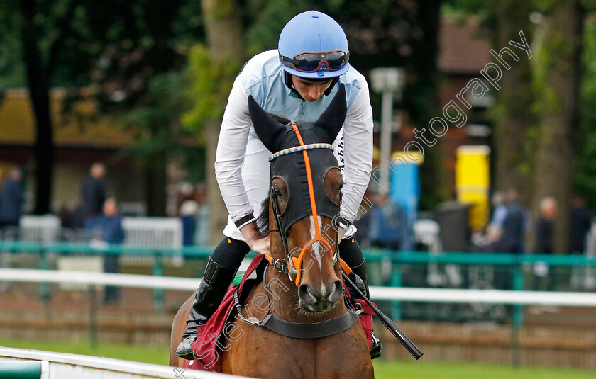 Premiere-Beauty-0001 
 PREMIERE BEAUTY (Rossa Ryan)
Haydock 24 May 2024 - Pic Steven cargill / Racingfotos.com