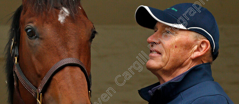 Cracksman-0013 
 CRACKSMAN with trainer John Gosden at his Clarehaven Stables in Newmarket 13 Oct 2017 - Pic Steven Cargill / Racingfotos.com