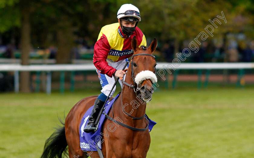 Heights-Of-Abraham-0002 
 HEIGHTS OF ABRAHAM (Shane Gray)
Haydock 22 May 2021 - Pic Steven Cargill / Racingfotos.com