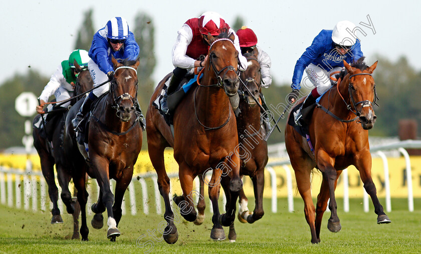 Glorious-Journey-0006 
 GLORIOUS JOURNEY (centre, James Doyle) beats FINAL SONG (right) and JASH (left) in The Dubai Duty Free Cup
Newbury 18 Sep 2020 - Pic Steven Cargill / Racingfotos.com