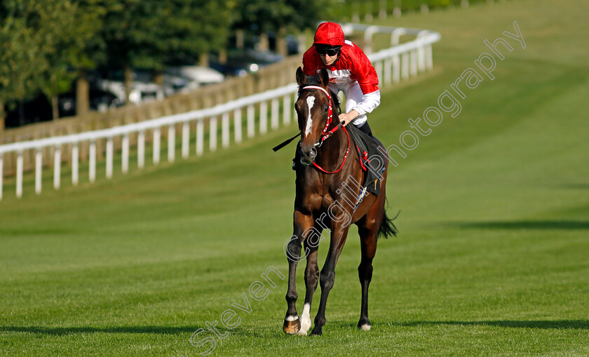 Rogue-Impact-0001 
 ROGUE IMPACT (Luke Morris)
Newmarket 9 Aug 2024 - Pic Steven Cargill / Racingfotos.com