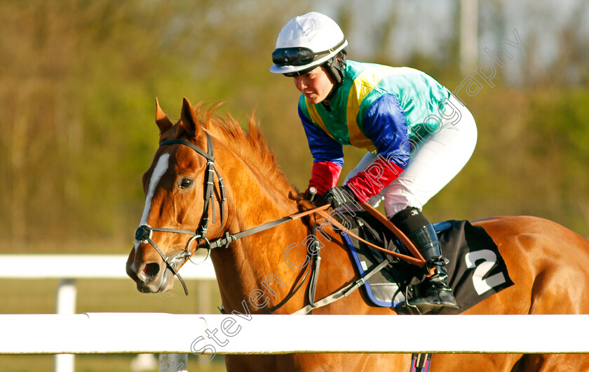 Poetic-Force 
 POETIC FORCE (Mollie Phillips)
Chelmsford 31 Mar 2022 - Pic Steven Cargill / Racingfotos.com