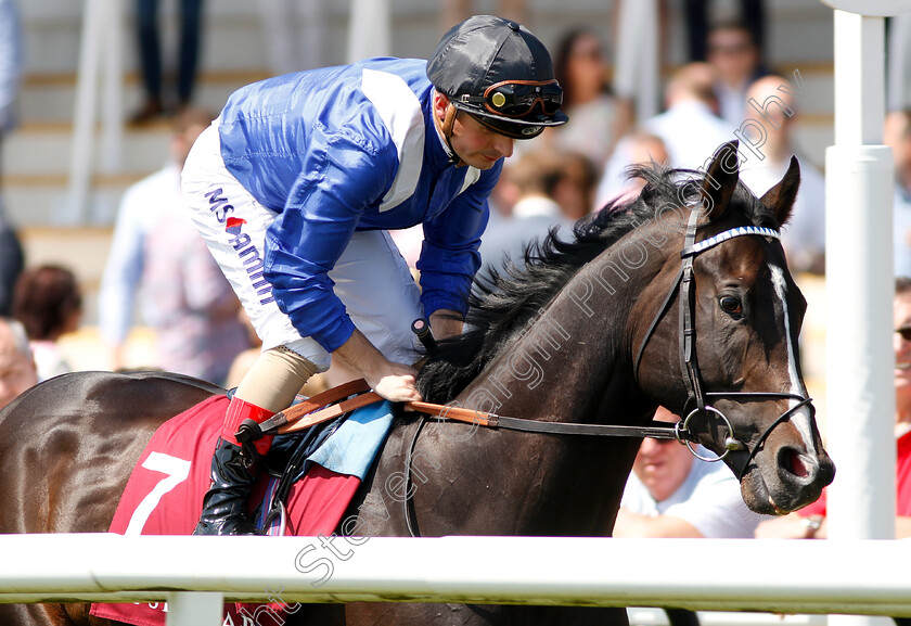 Shabaaby-0001 
 SHABAABY (Andrea Atzeni) 
Newbury 19 May 2018 - Pic Steven Cargill / Racingfotos.com