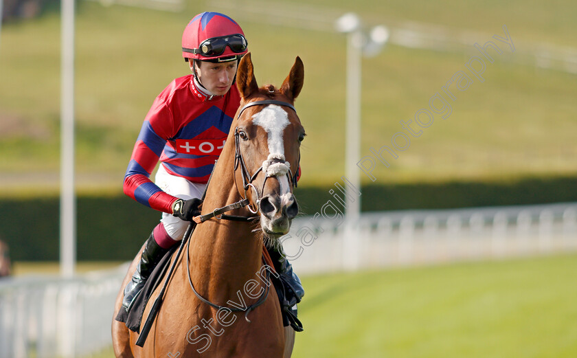 King-Vega-0002 
 KING VEGA (Oisin Murphy)
Goodwood 22 Sep 2021 - Pic Steven Cargill / Racingfotos.com