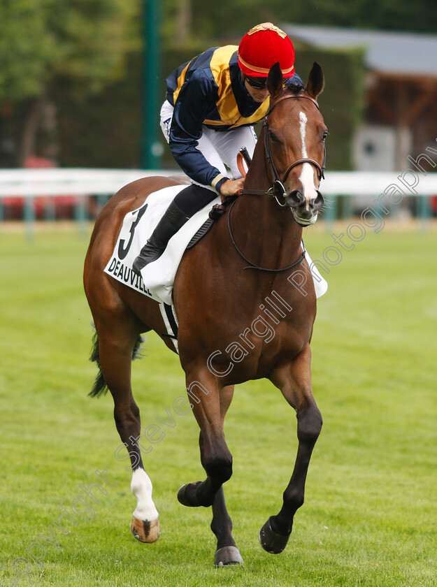 Lady-Of-Andros-0001 
 LADY OF ANDROS (H Besnier)
Deauville 3 Aug 2024 - Pic Steven Cargill / Racingfotos.com