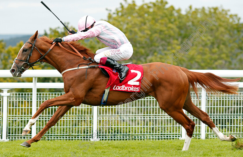 Urban-Artist-0005 
 URBAN ARTIST (Oisin Murphy) wins The Ladbrokes Best Odds Guaranteed Fillies Handicap
Goodwood 30 Aug 2020 - Pic Steven Cargill / Racingfotos.com