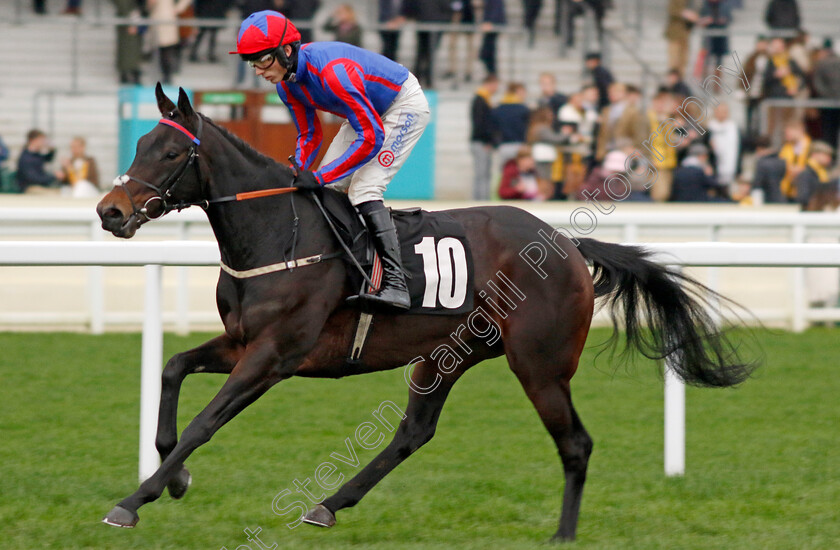 Nala-The-Lioness-0001 
 NALA THE LIONESS (Harry Cobden)
Ascot 17 Feb 2024 - Pic Steven Cargill / Racingfotos.com