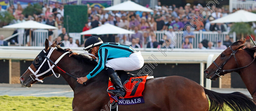 Nobals-0001 
 NOBALS (Gerardo Corrales) wins The Breeders' Cup Turf Sprint
Santa Anita 4 Nov 2023 - pic Steven Cargill / Racingfotos.com