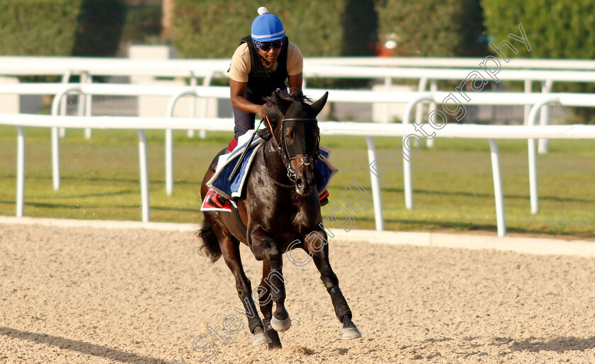 Alflaila-0005 
 ALFLAILA training for the Bahrain International Trophy
Kingdom of Bahrain 13 Nov 2024 - Pic Steven Cargill / Racingfotos.com