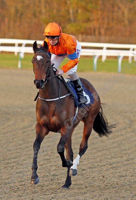 Aibell-0001 
 AIBELL (Joe Fanning) Lingfield 10 Jan 2018 - Pic Steven Cargill / Racingfotos.com