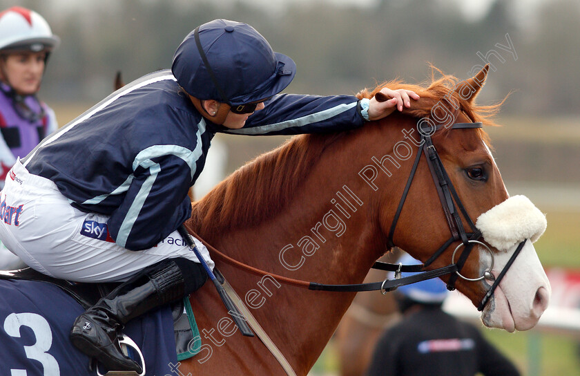 Harvey-Dent-0003 
 HARVEY DENT (Hollie Doyle) before winning The Ladbrokes Home Of The Odds Boost Novice Median Auction Stakes
Lingfield 25 Jan 2019 - Pic Steven Cargill / Racingfotos.com