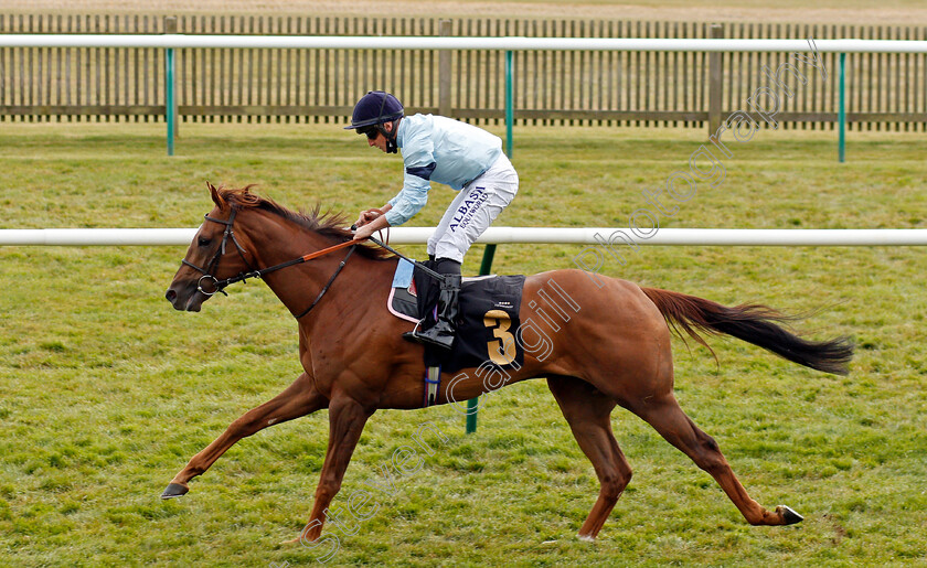 Parachute-0004 
 PARACHUTE (Tom Marquand) wins The Betfair Weighed In Podcast Handicap
Newmarket 2 May 2021 - Pic Steven Cargill / Racingfotos.com