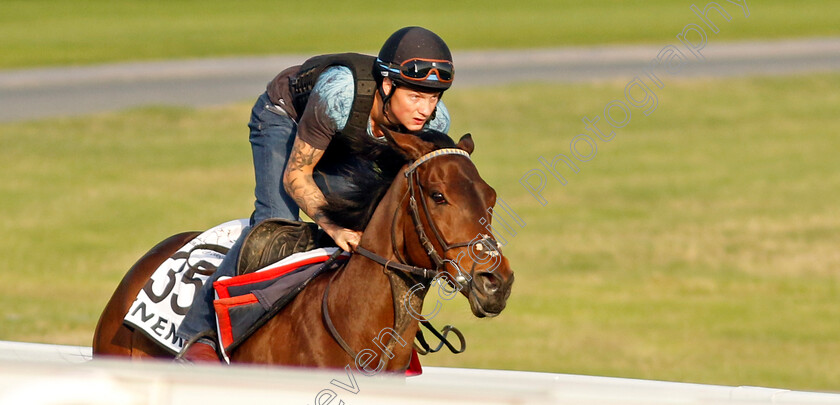 Enemy-0001 
 ENEMY training at Meydan, Dubai
2 Feb 2023 - Pic Steven Cargill / Racingfotos.com