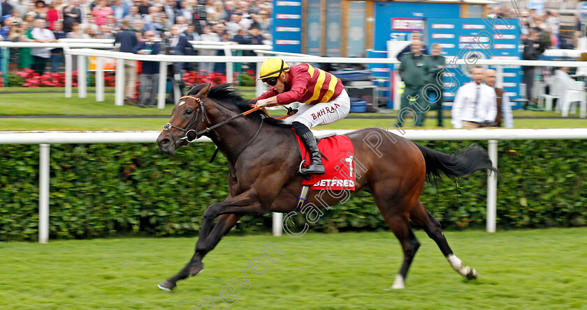 Iberian-0005 
 IBERIAN (Tom Marquand) wins The Betfred Champagne Stakes
Doncaster 16 Sep 2023 - Pic Steven Cargill / Racingfotos.com