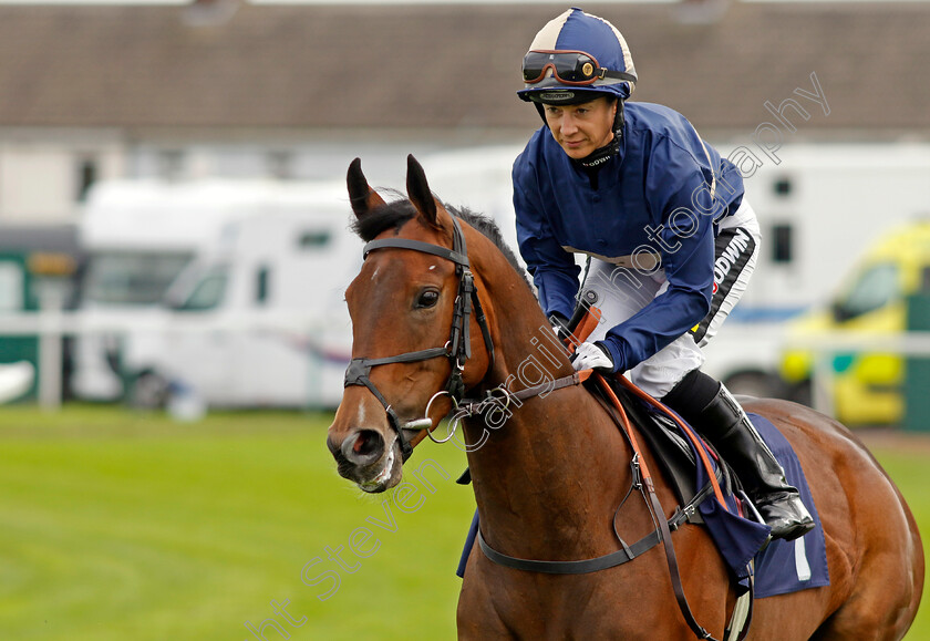 Elusive-Angel-0001 
 ELUSIVE ANGEL (Hayley Turner)
Yarmouth 20 Sep 2023 - Pic Steven Cargill / Racingfotos.com