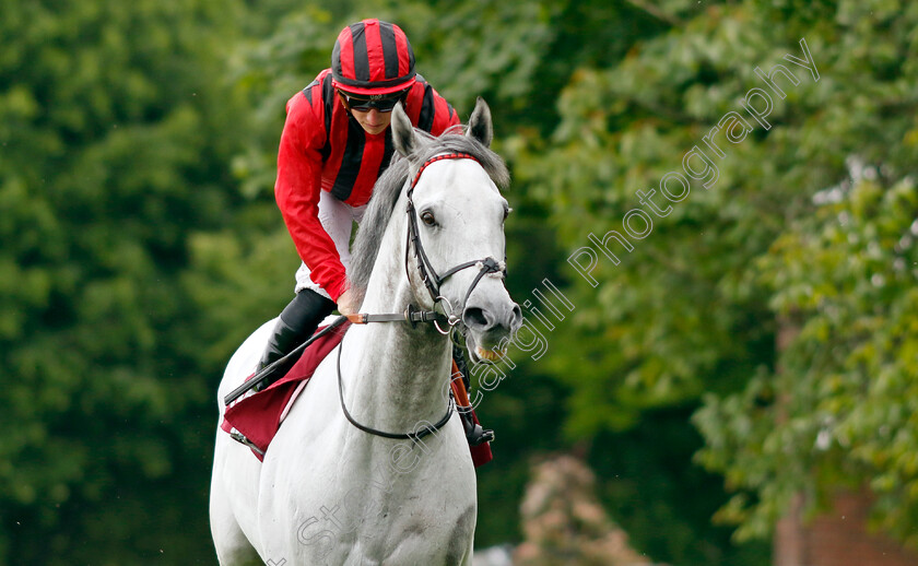 Came-From-The-Dark-0001 
 CAME FROM THE DARK (Tom Marquand)
Haydock 21 May 2022 - Pic Steven Cargill / Racingfotos.com