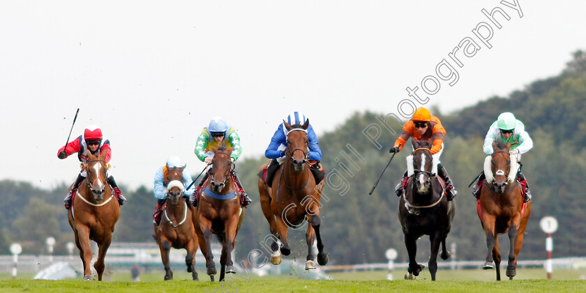 Khanjar-0007 
 KHANJAR (centre, Jim Crowley) beats ABOLISH (right) GHATHANFAR (2nd right) and VENTURA EXPRESS (left) in The The Tin Man Handicap
Haydock 2 Sep 2022 - Pic Steven Cargill / Racingfotos.com