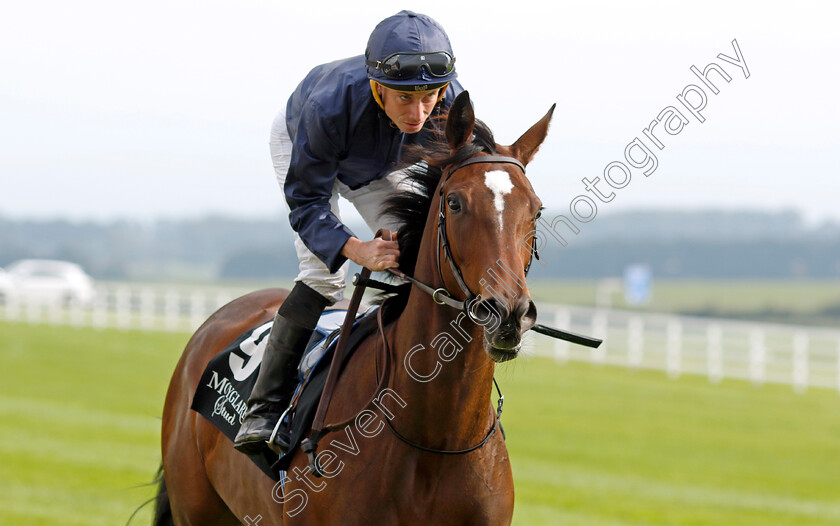 Ylang-Ylang-0002 
 YLANG YLANG (Ryan Moore)
The Curragh 10 Sep 2023 - Pic Steven Cargill / Racingfotos.com