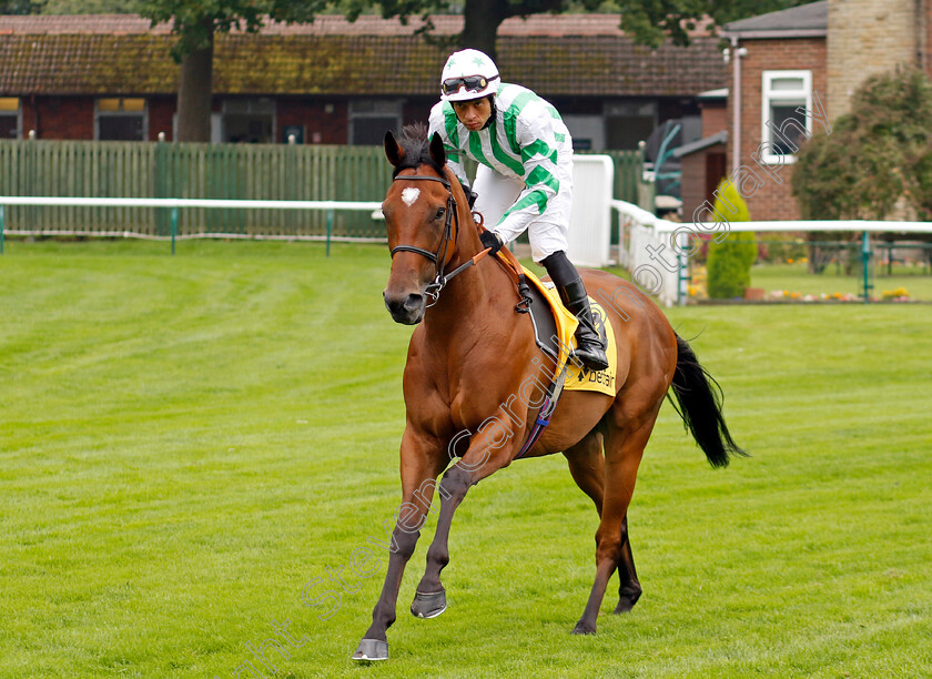 Witch-Hunter-0001 
 WITCH HUNTER (Sean Levey)
Haydock 7 Sep 2024 - Pic Steven Cargill / Racingfotos.com