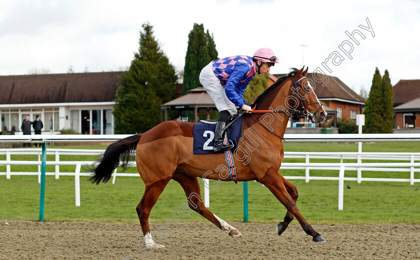 Lelabad 
 LELABAD (Callum Shepherd)
Lingfield 1 Dec 2021 - Pic Steven Cargill / Racingfotos.com