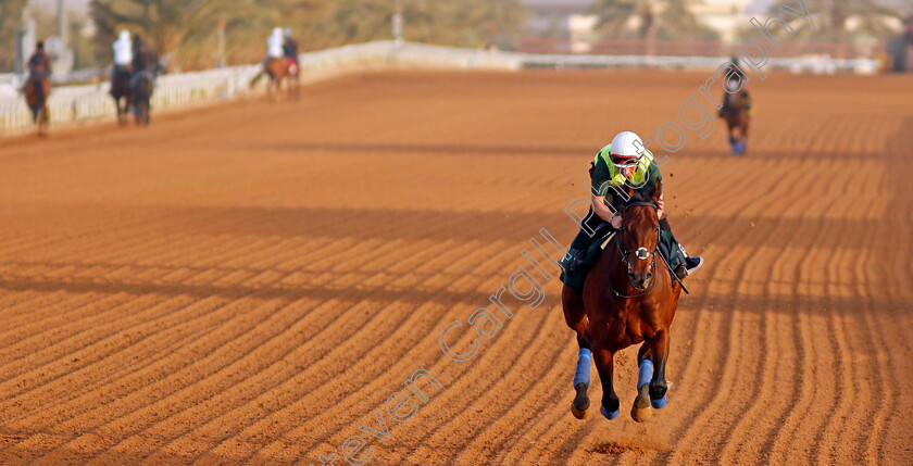 Mishriff-0002 
 MISHRIFF training for the Saudi Cup
King Abdulaziz Racetrack, Riyadh, Saudi Arabia 24 Feb 2022 - Pic Steven Cargill / Racingfotos.com