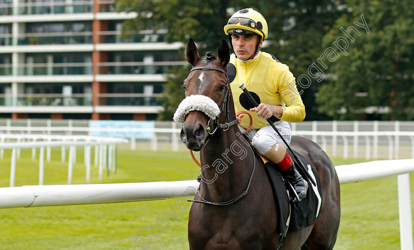 Dubai-Jewel-0001 
 DUBAI JEWEL (Andrea Atzeni) winner of The BetVictor Proud Sponsors Of Newbury EBF Fillies Novice Stakes
Newbury 13 Aug 2021 - Pic Steven Cargill / Racingfotos.com