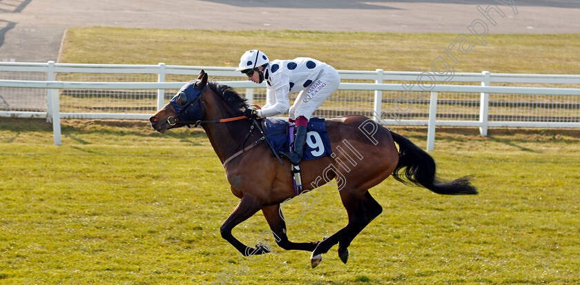 Lochanthem-0002 
 LOCHANTHEM (Oisin Murphy) wins The Download The Quinnbet App Classified Stakes Div2
Yarmouth 20 Apr 2021 - Pic Steven Cargill / Racingfotos.com