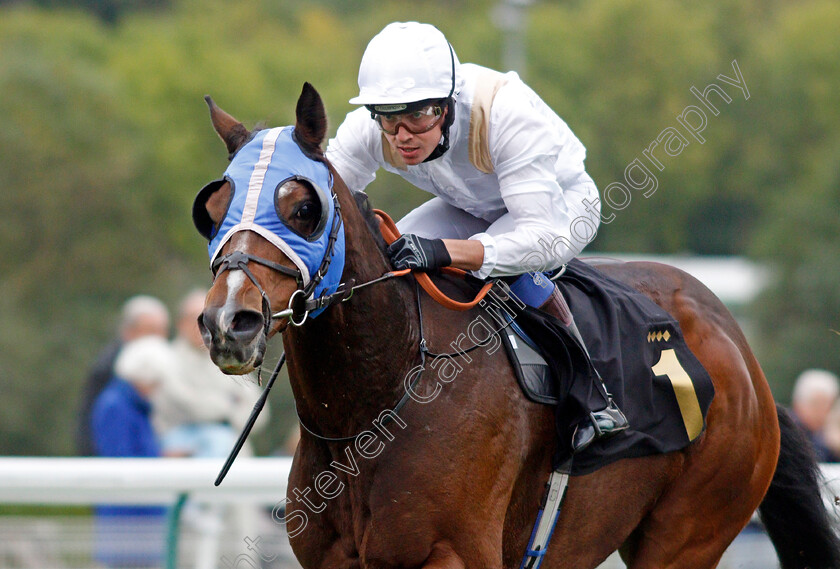 Dark-Shot-0004 
 DARK SHOT (Jonathan Fisher) wins The Davis Site Security Handicap
Nottingham 13 Oct 2021 - Pic Steven Cargill / Racingfotos.com