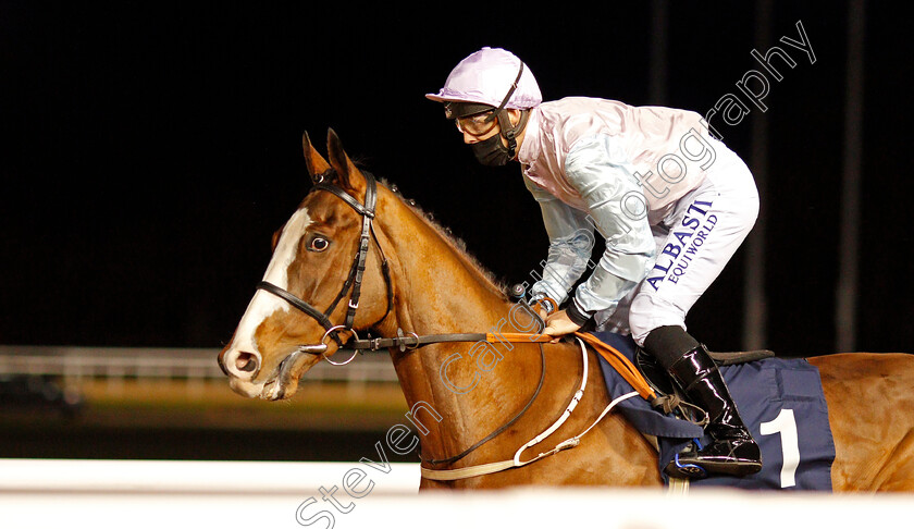 Andonno-0001 
 ANDONNO (Ben Curtis)
Wolverhampton 12 Mar 2021 - Pic Steven Cargill / Racingfotos.com