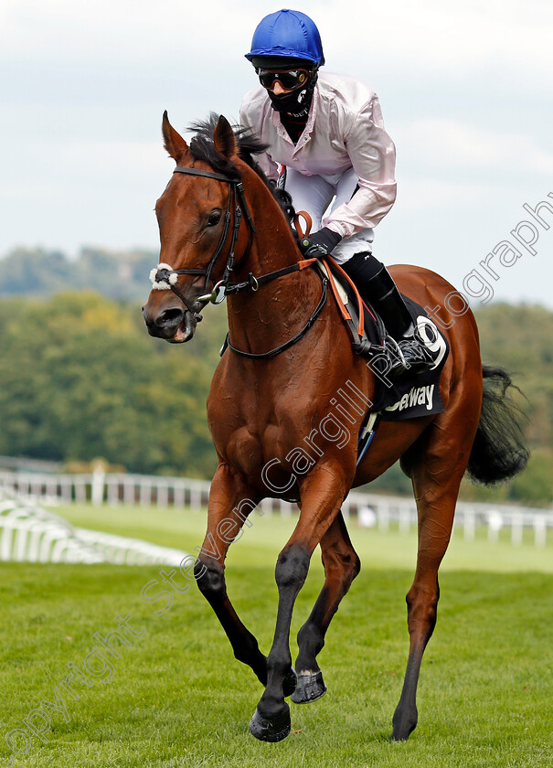 Onassis-0001 
 ONASSIS (Hayley Turner)
Sandown 23 Aug 2020 - Pic Steven Cargill / Racingfotos.com