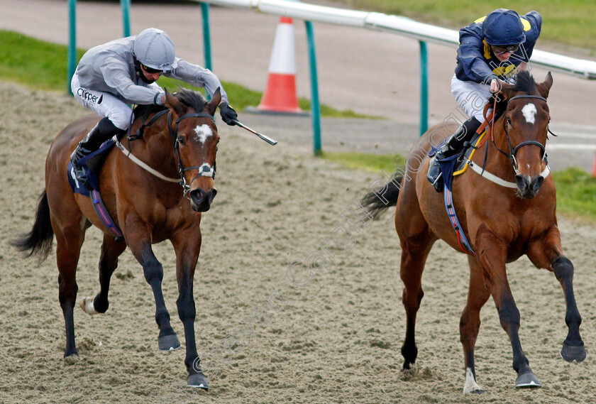 Shimmering-Dawn-0001 
 SHIMMERING DAWN (right, James Tate) beats QUEEN'S COURSE (left) in The Ladbrokes Irish EBF Fillies Conditions Stakes
Lingfield 19 Dec 2020 - Pic Steven Cargill / Racingfotos.com