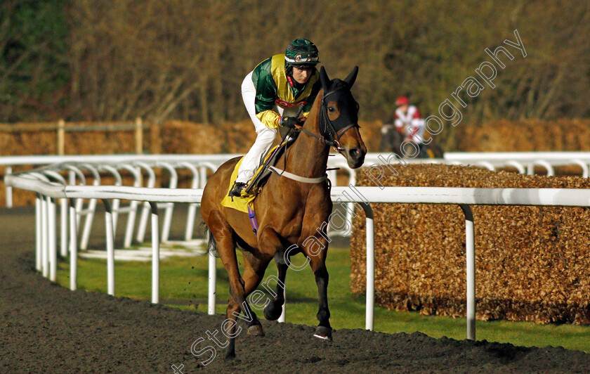 Colonial-Love 
 COLONIAL LOVE (Georgia Dobie)
Kempton 16 Feb 2022 - Pic Steven Cargill / Racingfotos.com