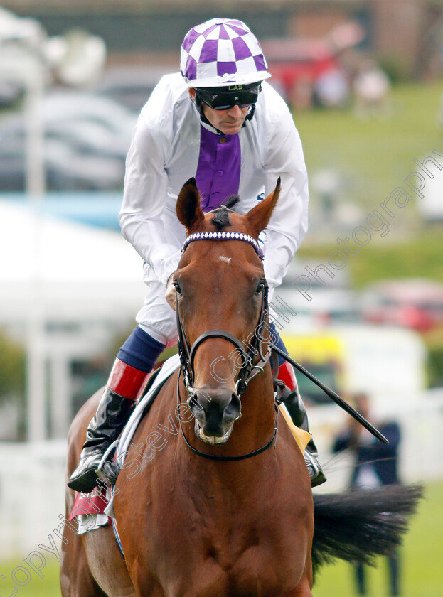 Poetic-Flare-0004 
 POETIC FLARE (Kevin Manning)
Goodwood 28 Jul 2021 - Pic Steven Cargill / Racingfotos.com