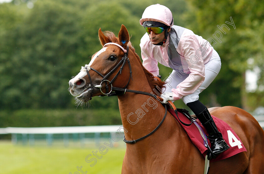 Royal-Intervention-0001 
 ROYAL INTERVENTION (Gerald Mosse)
Haydock 25 May 2019 - Pic Steven Cargill / Racingfotos.com