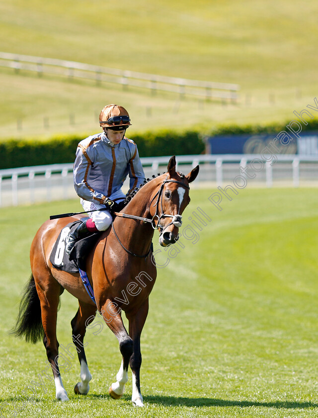 Sudden-Ambush-0005 
 SUDDEN AMBUSH (Oisin Murphy) winner of the Hanover Communications Handicap
Goodwood 26 May 2023 - Pic Steven Cargill / Racingfotos.com