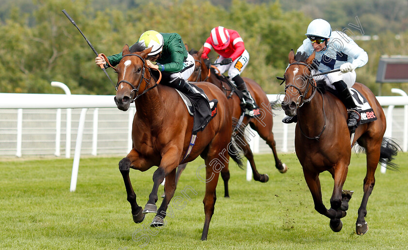 Glance-0001 
 GLANCE (left, Harry Bentley) beats SUNDAY STAR (right) in The Netbet Best Odds Guaranteed EBF Fillies Novice Stakes
Goodwood 4 Sep 2018 - Pic Steven Cargill / Racingfotos.com